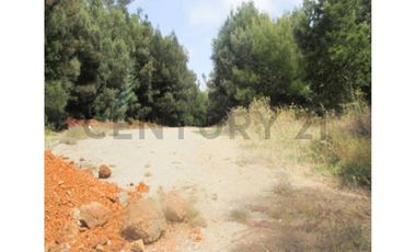 VENTA TERRENO CARRIEL SUR