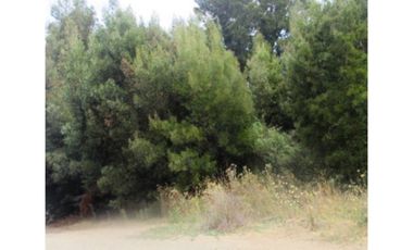 VENTA TERRENO CARRIEL SUR