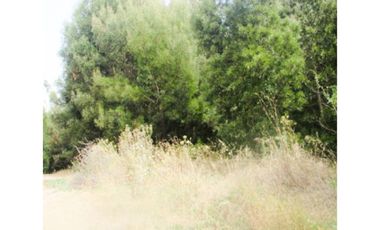 VENTA TERRENO CARRIEL SUR