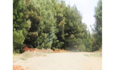 VENTA TERRENO CARRIEL SUR