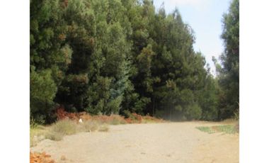 VENTA TERRENO CARRIEL SUR