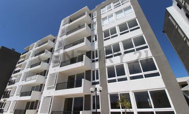 Se arrienda departamento sector La Herradura