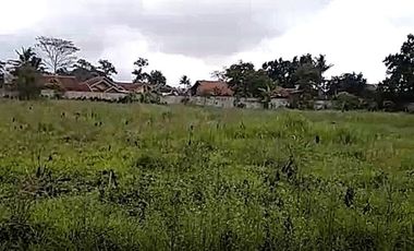 Cheap land for sale 3,7 Ha in Cihampelas West Bandung City
