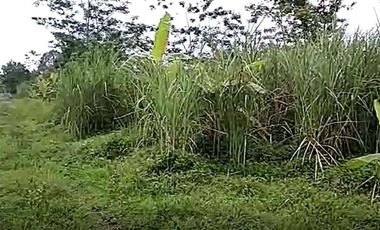 Cheap land for sale 3,7 Ha in Cihampelas West Bandung City