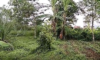 Cheap land for sale 3,7 Ha in Cihampelas West Bandung City