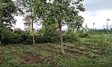 Cheap land for sale 3,7 Ha in Cihampelas West Bandung City