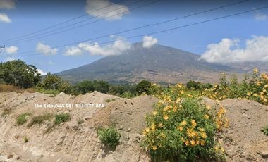 Tanah 653m2 di Sembalun Full View Gunung Rinjani Lombok