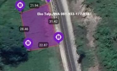 Tanah 653m2 di Sembalun Full View Gunung Rinjani Lombok