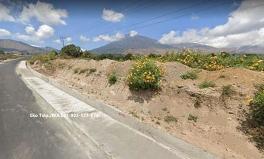 Tanah 653m2 di Sembalun Full View Gunung Rinjani Lombok