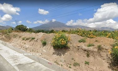 Tanah 653m2 di Sembalun Full View Gunung Rinjani Lombok