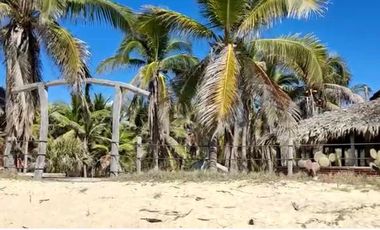 36 HECTAREAS CON 572 METROS DE FRENTE DE PLAYA.