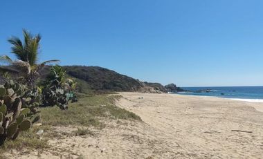 36 HECTAREAS CON 572 METROS DE FRENTE DE PLAYA.