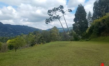 casa en arriendo en la fe. Cod A6594