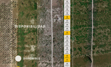 Terreno en Venta en Mareas, Chicxulub