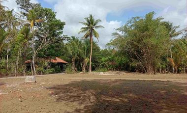 DEKAT STASIUN JENAR, TANAH MURAH 500 RIBU/M DI PURWOREJO