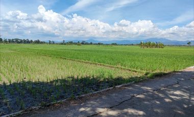 DEKAT STASIUN JENAR, TANAH MURAH 500 RIBU/M DI PURWOREJO