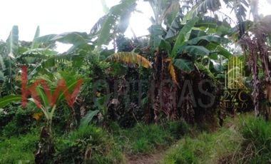 Agricultural Lot in Orion, Bataan