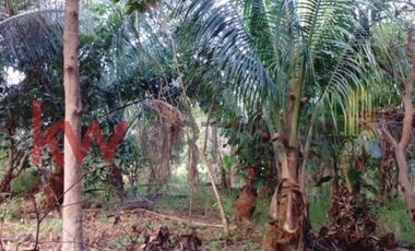 Agricultural Lot in Orion, Bataan