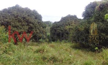 Agricultural Lot in Orion, Bataan