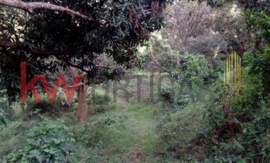 Agricultural Lot in Orion, Bataan