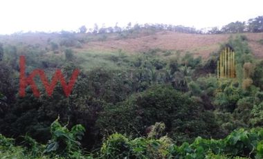 Agricultural Lot in Orion, Bataan