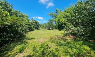 Land for sale in Nong Khon, Ubon Ratchathani