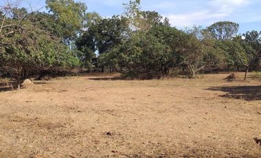 FARM LOT FOR SALE IN PANGASINAN