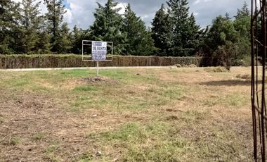 SE RENTA TERRENO sobre avenida principal, con uso de suelo comercial. Plano.
