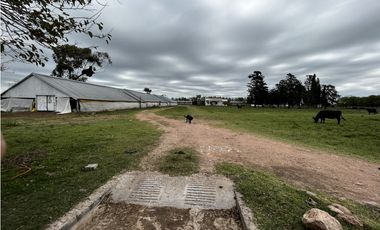 Vendo Campo 76 Hectáreas en Caseros, Entre Ríos.