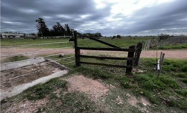 Vendo Campo 76 Hectáreas en Caseros, Entre Ríos.