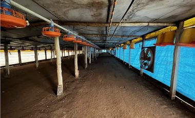 Vendo Campo 76 Hectáreas en Caseros, Entre Ríos.