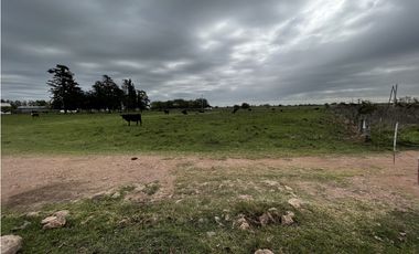 Vendo Campo 76 Hectáreas en Caseros, Entre Ríos.