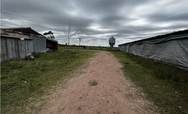 Vendo Campo 76 Hectáreas en Caseros, Entre Ríos.