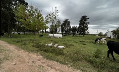 Vendo Campo 76 Hectáreas en Caseros, Entre Ríos.