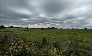 Vendo Campo 76 Hectáreas en Caseros, Entre Ríos.