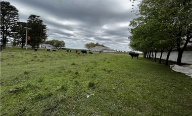 Vendo Campo 76 Hectáreas en Caseros, Entre Ríos.