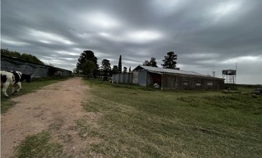 Vendo Campo 76 Hectáreas en Caseros, Entre Ríos.