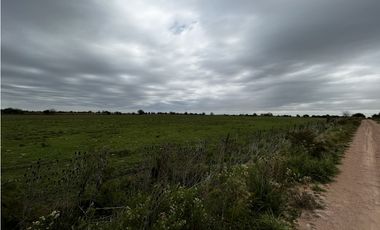 Vendo Campo 76 Hectáreas en Caseros, Entre Ríos.