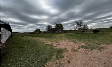 Vendo Campo 76 Hectáreas en Caseros, Entre Ríos.
