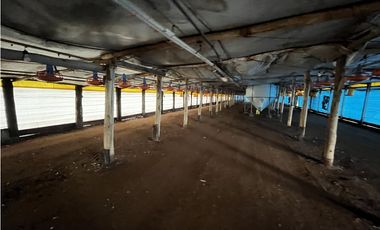 Vendo Campo 76 Hectáreas en Caseros, Entre Ríos.