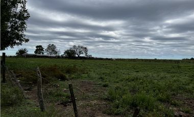 Vendo Campo 76 Hectáreas en Caseros, Entre Ríos.