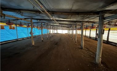 Vendo Campo 76 Hectáreas en Caseros, Entre Ríos.