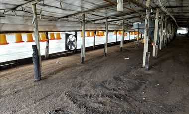 Vendo Campo 76 Hectáreas en Caseros, Entre Ríos.