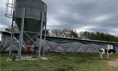 Vendo Campo 76 Hectáreas en Caseros, Entre Ríos.