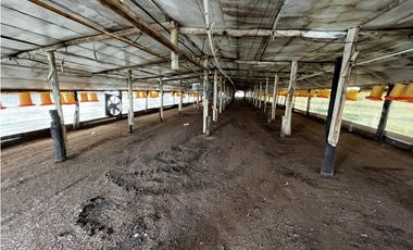 Vendo Campo 76 Hectáreas en Caseros, Entre Ríos.