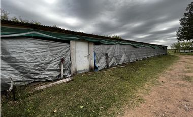 Vendo Campo 76 Hectáreas en Caseros, Entre Ríos.