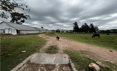 Vendo Campo 76 Hectáreas en Caseros, Entre Ríos.