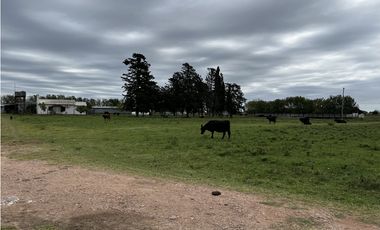 Vendo Campo 76 Hectáreas en Caseros, Entre Ríos.