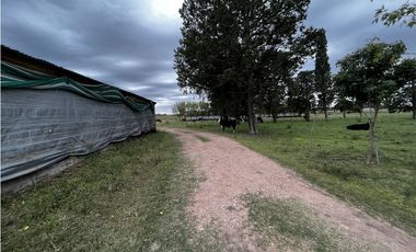 Vendo Campo 76 Hectáreas en Caseros, Entre Ríos.