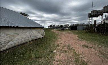 Vendo Campo 76 Hectáreas en Caseros, Entre Ríos.